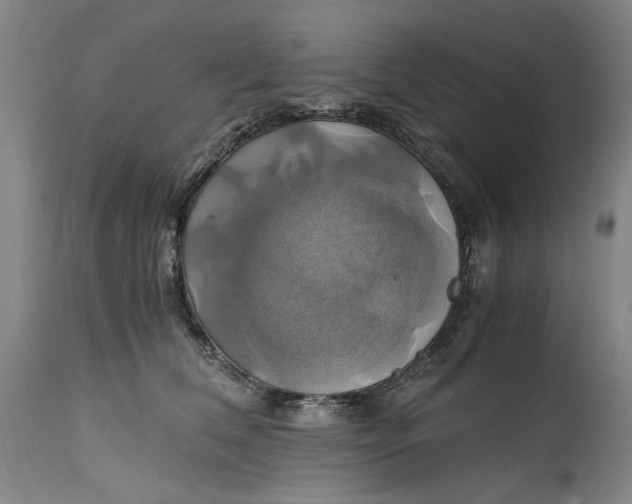 X0000114700612200911121541