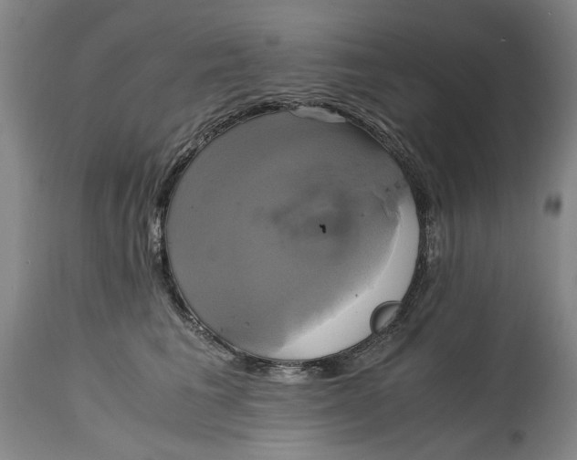 X0000114700613200911121541