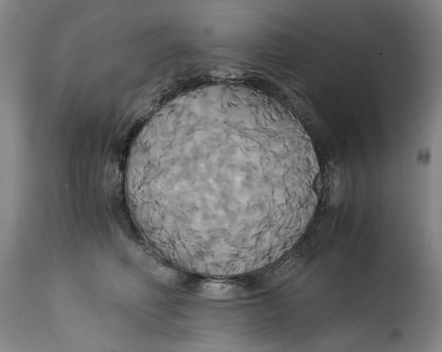 X0000114700614200911121541