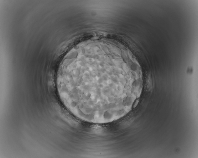 X0000114700616200911121541