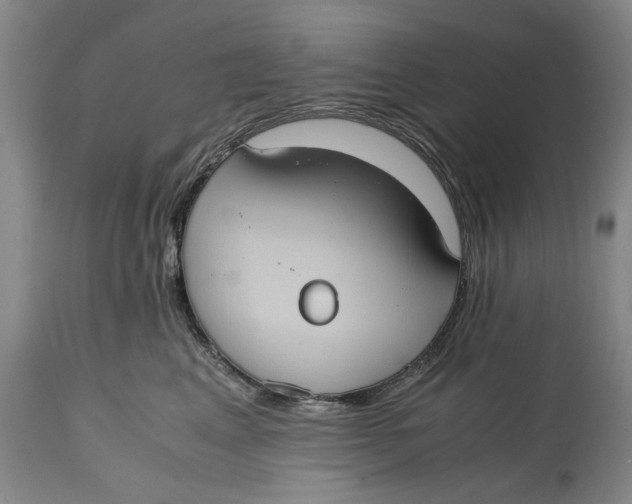 X0000114700617200911121541