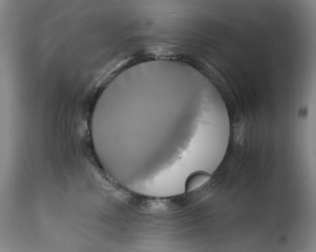 X0000114700618200911121541