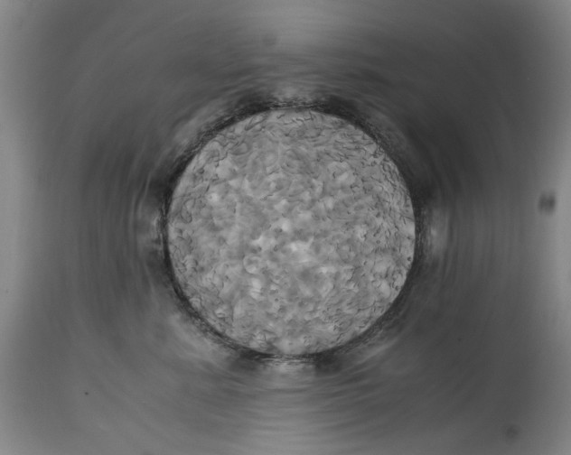 X0000114700619200911121541