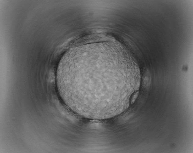 X0000114700620200911121541