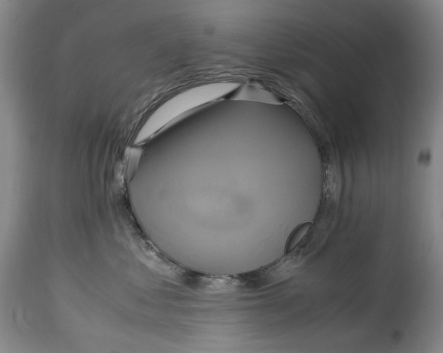 X0000114700621200911121541