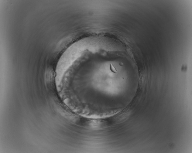 X0000114700623200911121541