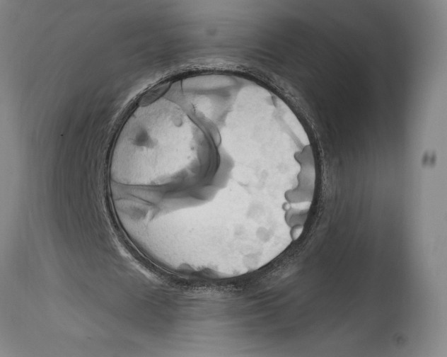 X0000114700625200911121541