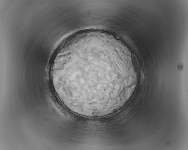 X0000114700628200911121541