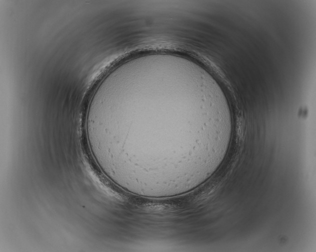 X0000114700629200911121541