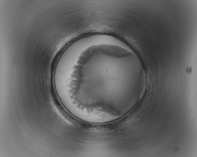 X0000114700630200911121541