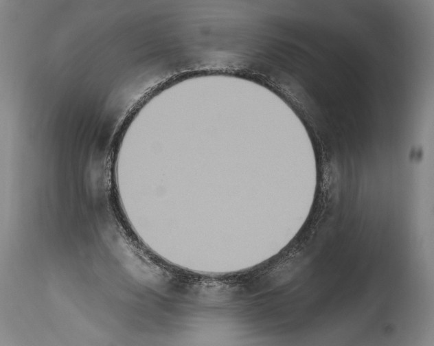 X0000114700632200911121541