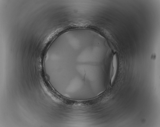 X0000114700634200911121541