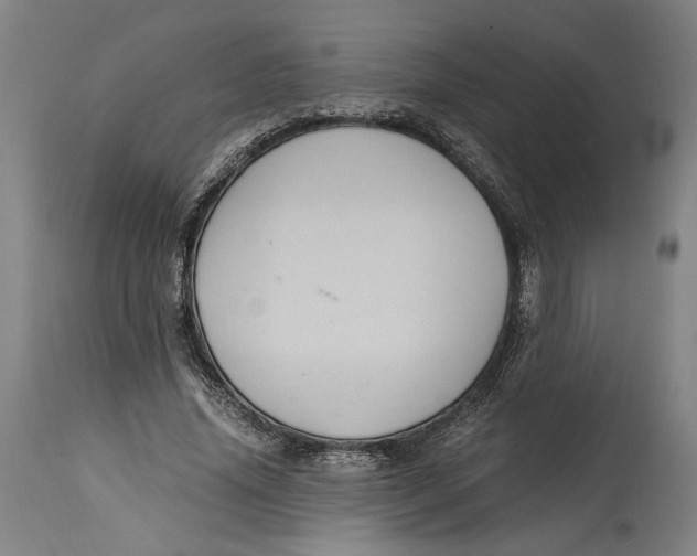 X0000114700636200911121541