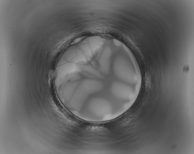 X0000114700637200911121541