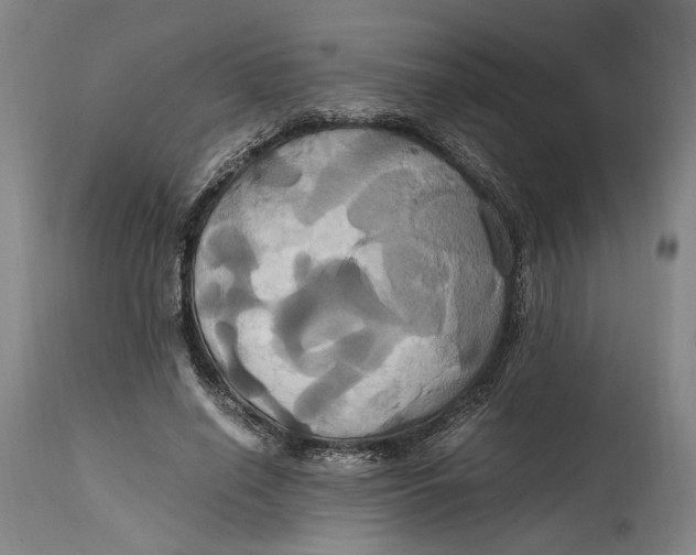 X0000114700638200911121541