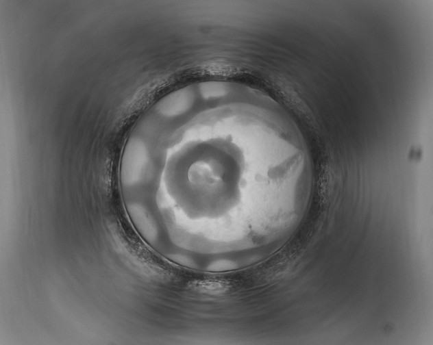 X0000114700639200911121541