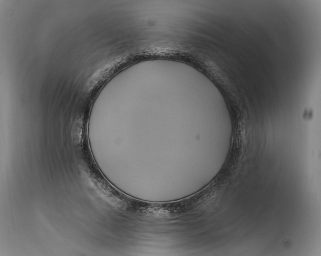 X0000114700640200911121541