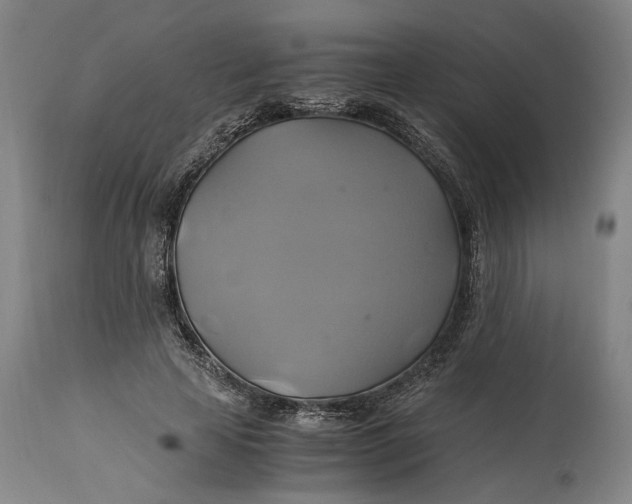 X0000114700641200911121541