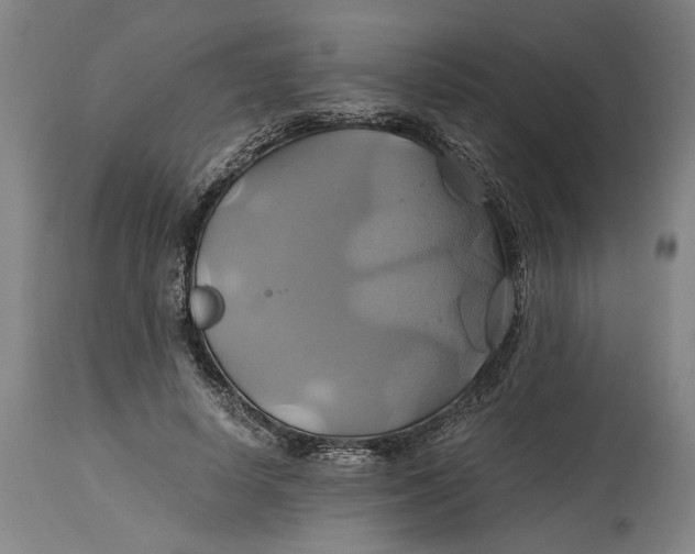 X0000114700642200911121541