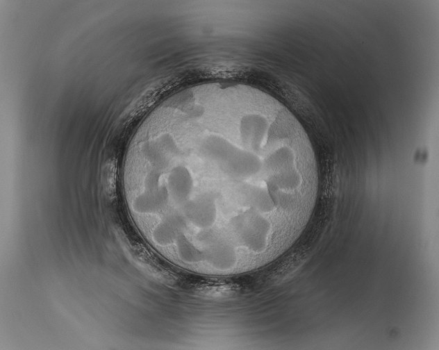 X0000114700646200911121541