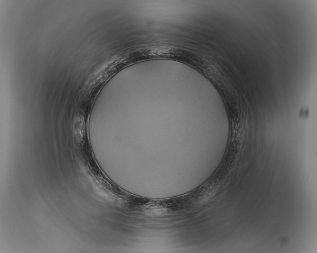 X0000114700648200911121541