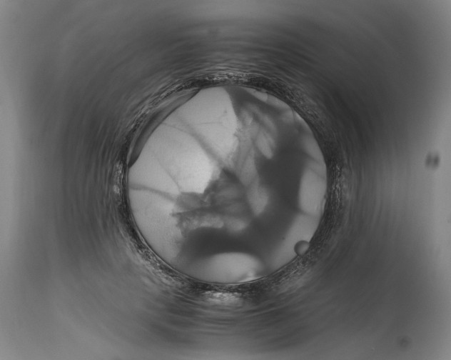 X0000114700649200911121541