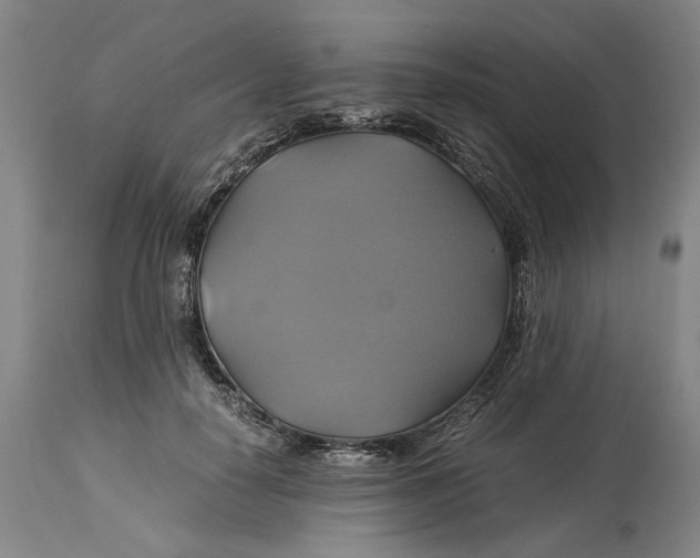 X0000114700650200911121541