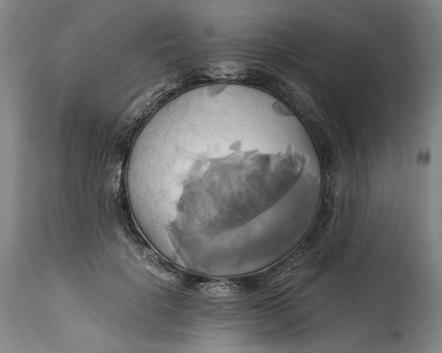 X0000114700652200911121541