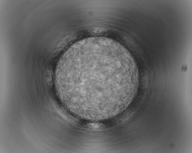 X0000114700654200911121541