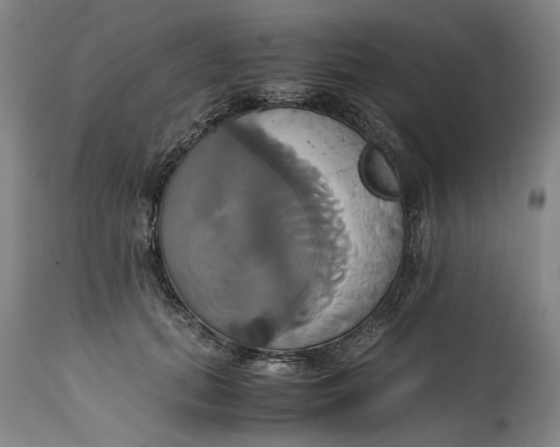 X0000114700655200911121541