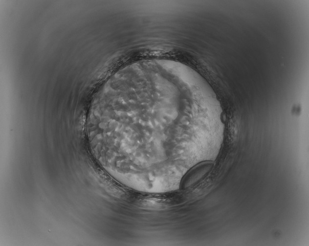 X0000114700657200911121541