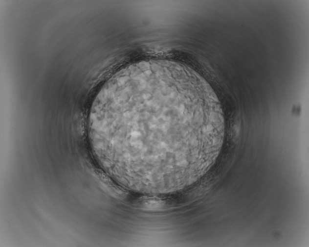 X0000114700658200911121541