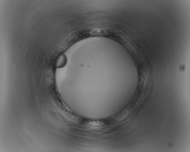 X0000114700659200911121541