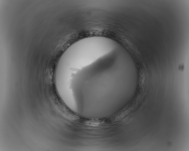 X0000114700661200911121541