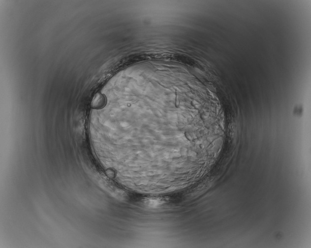 X0000114700662200911121541