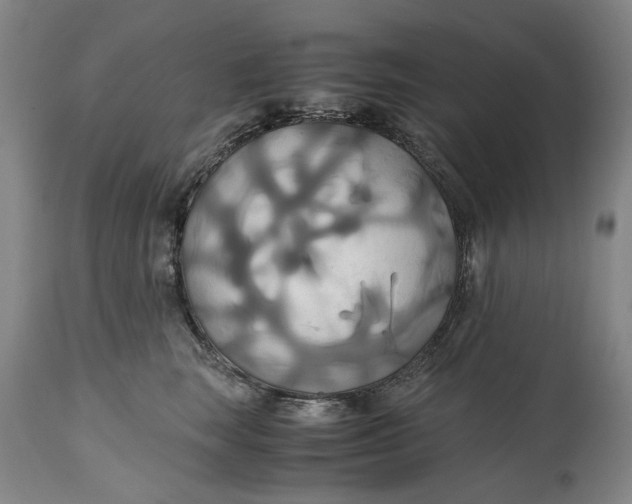 X0000114700663200911121541