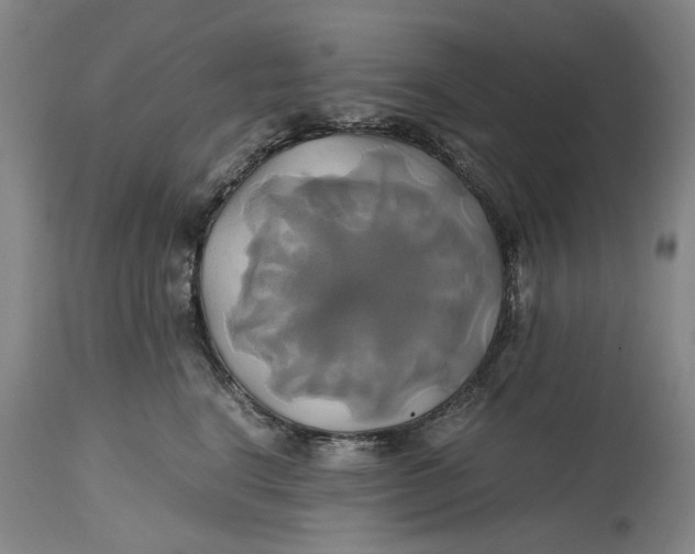 X0000114700664200911121541