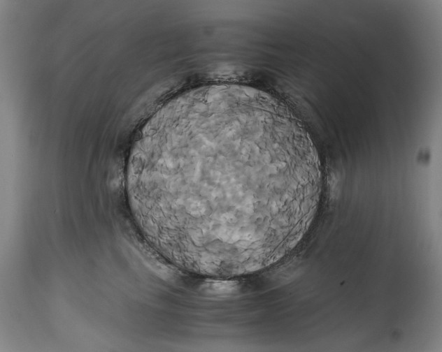 X0000114700665200911121541