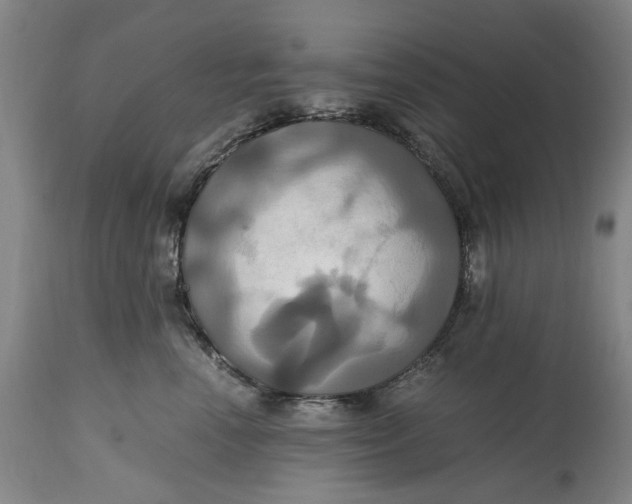 X0000114700666200911121541