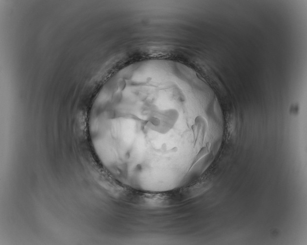 X0000114700667200911121541