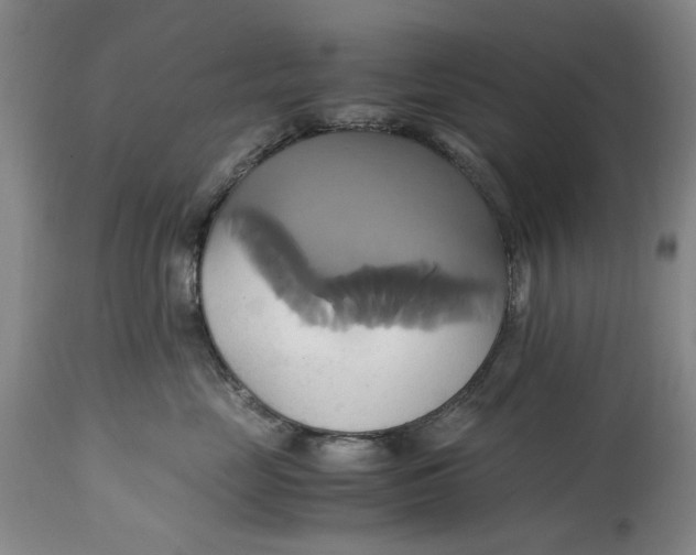 X0000114700669200911121541