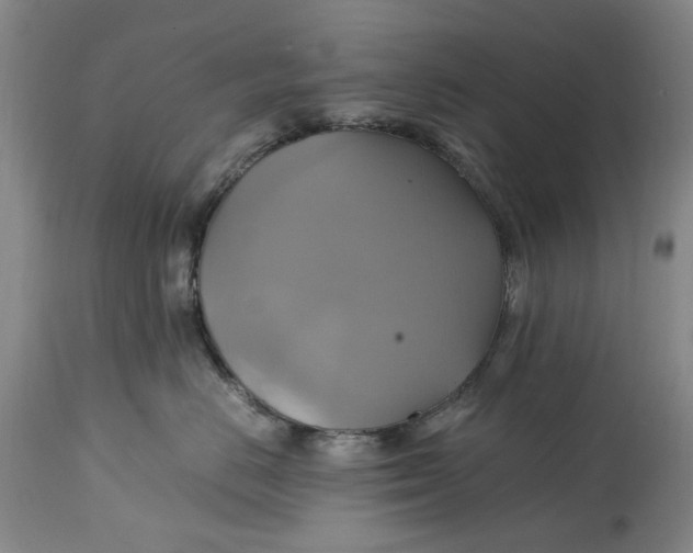 X0000114700670200911121541