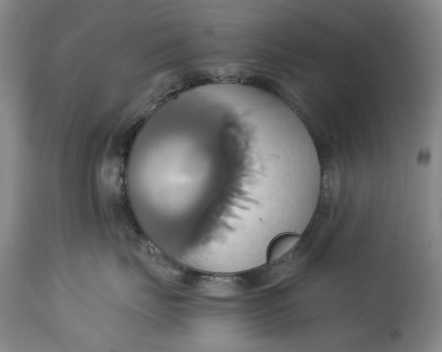 X0000114700671200911121541