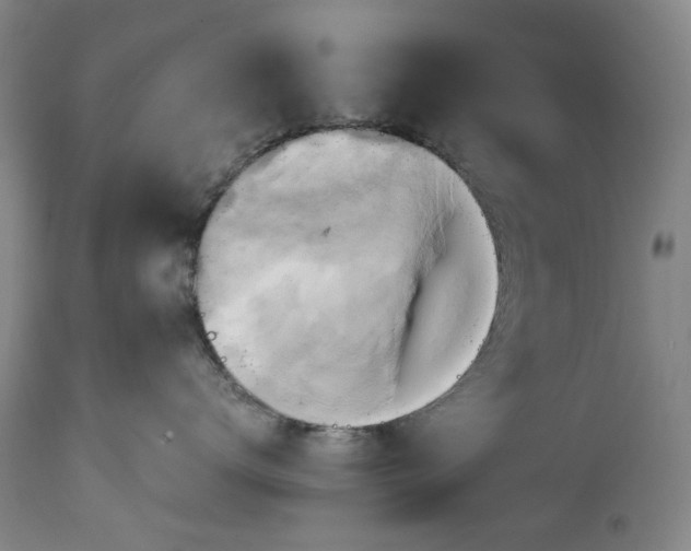 X0000114700672200911121541