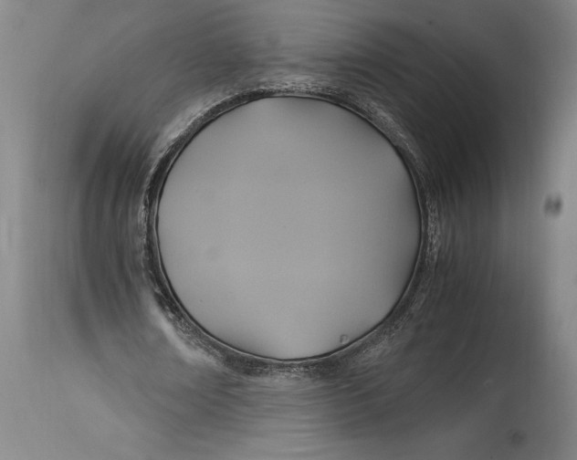 X0000114700674200911121541