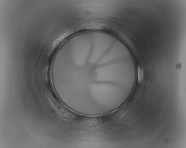 X0000114700675200911121541