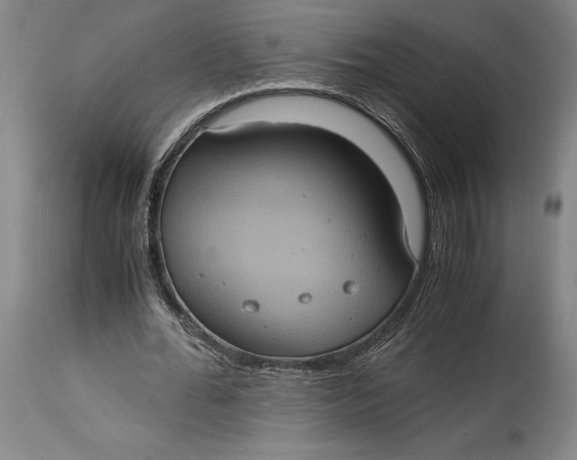 X0000114700676200911121541