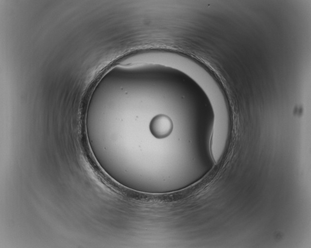 X0000114700677200911121541