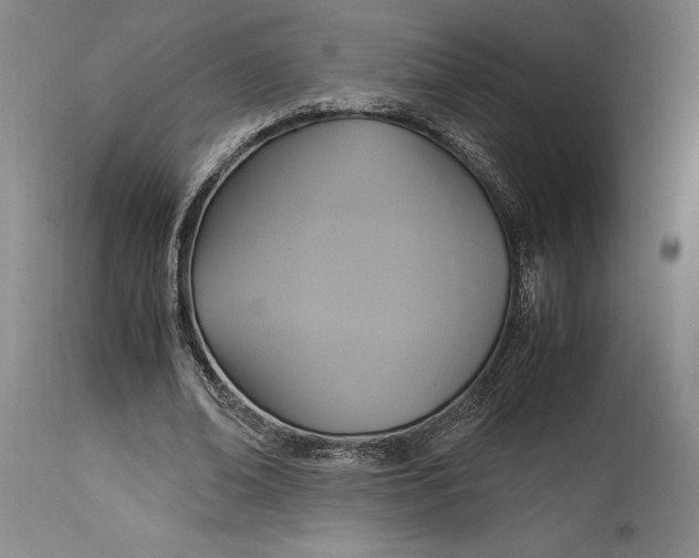 X0000114700678200911121541