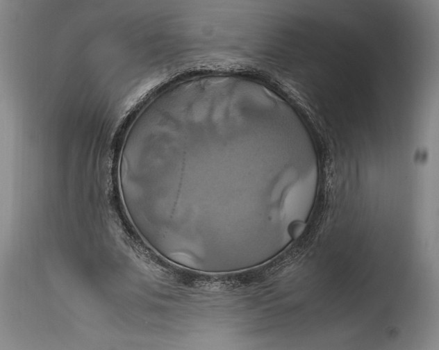 X0000114700679200911121541